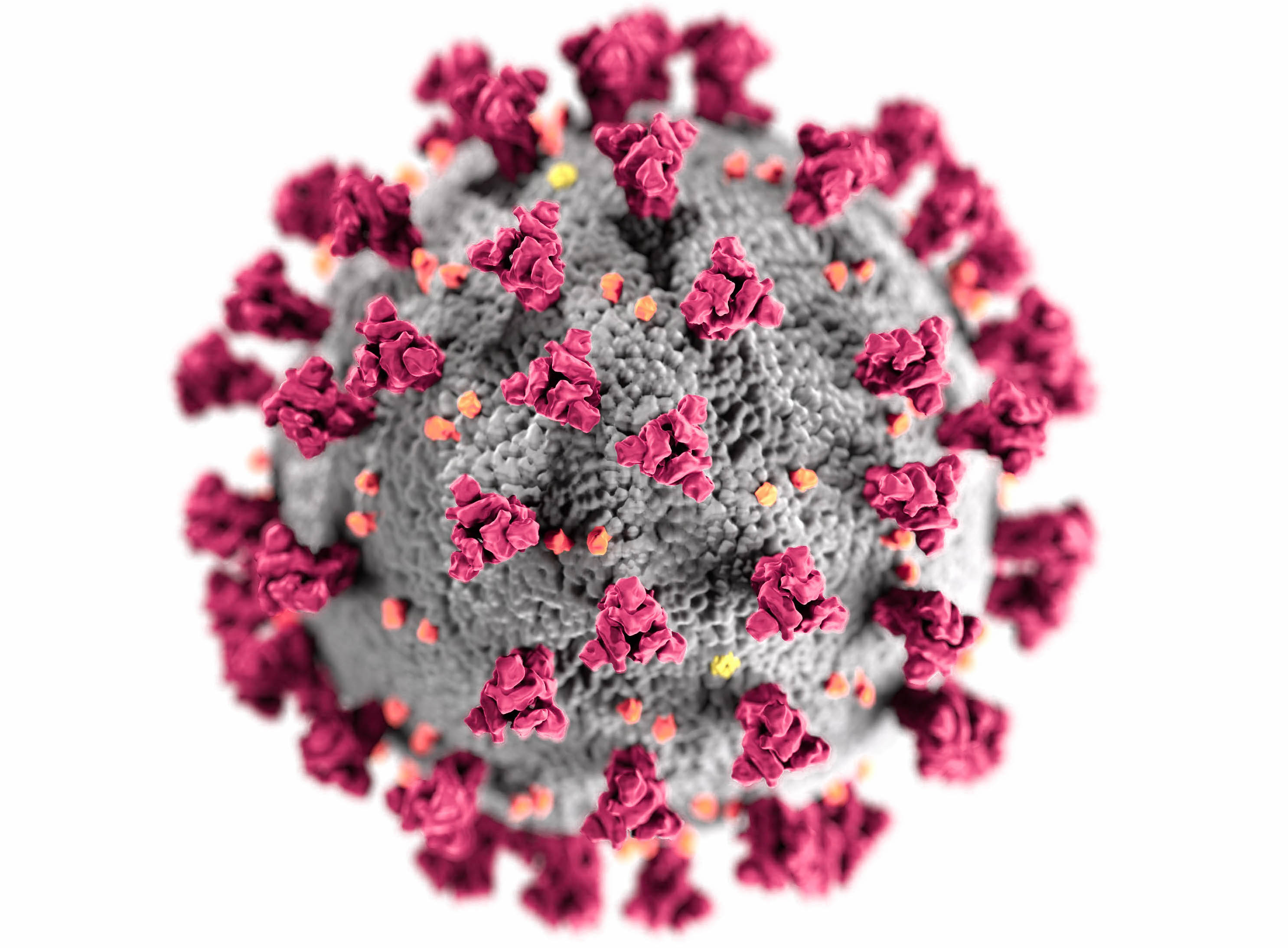 Salgın Hastalıkların Psikolojik Etkileri